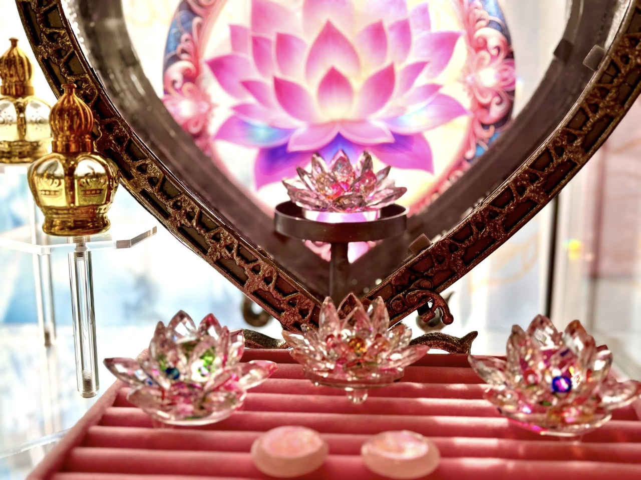 615178841_1386446743274808_7559874243815529655_n_web